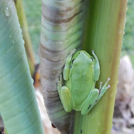 Panzió A Deux Au Blagour