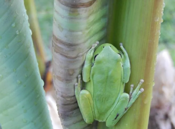 Bed & Breakfast A Deux Au Blagour